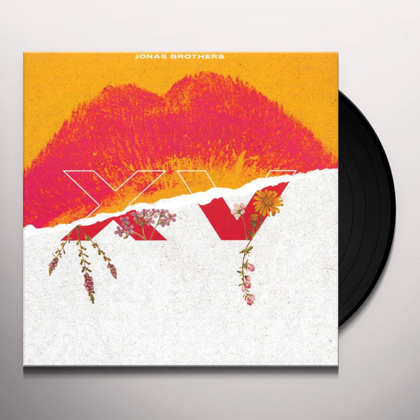 Jonas Brothers XV Vinyl Record