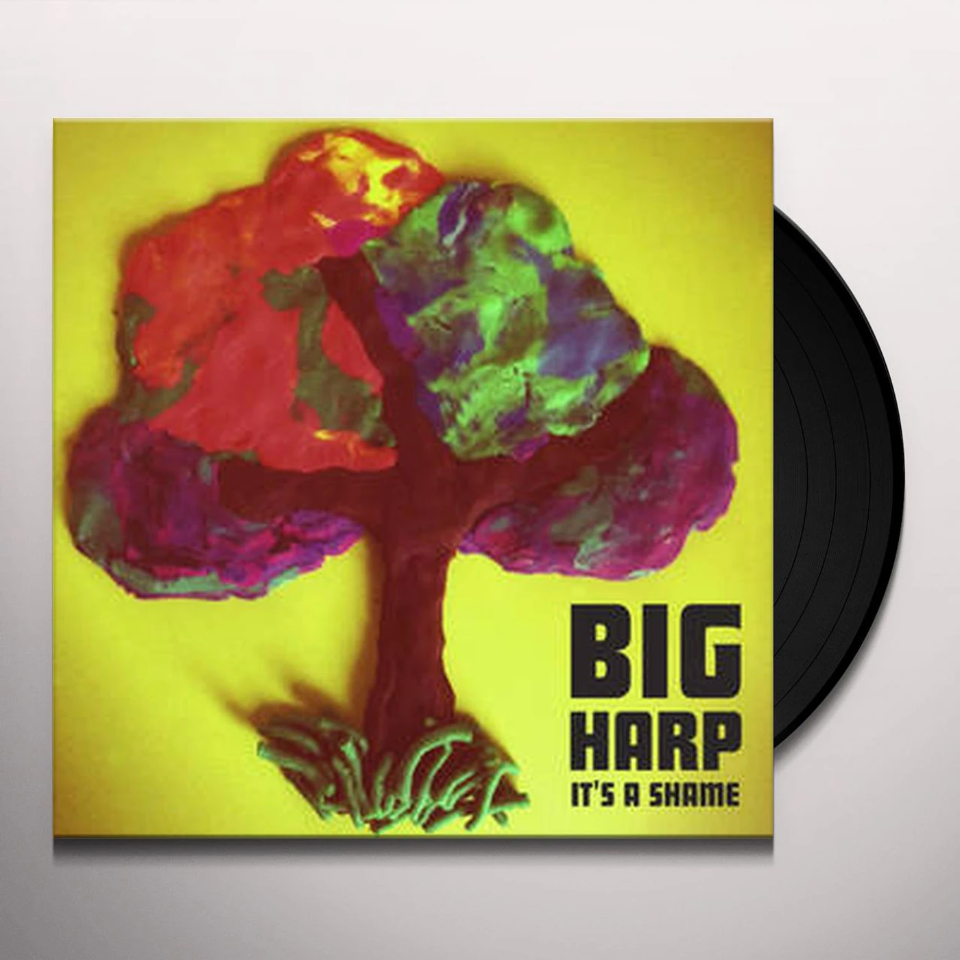 Big Harp IT'S A SHAME Vinyl Record