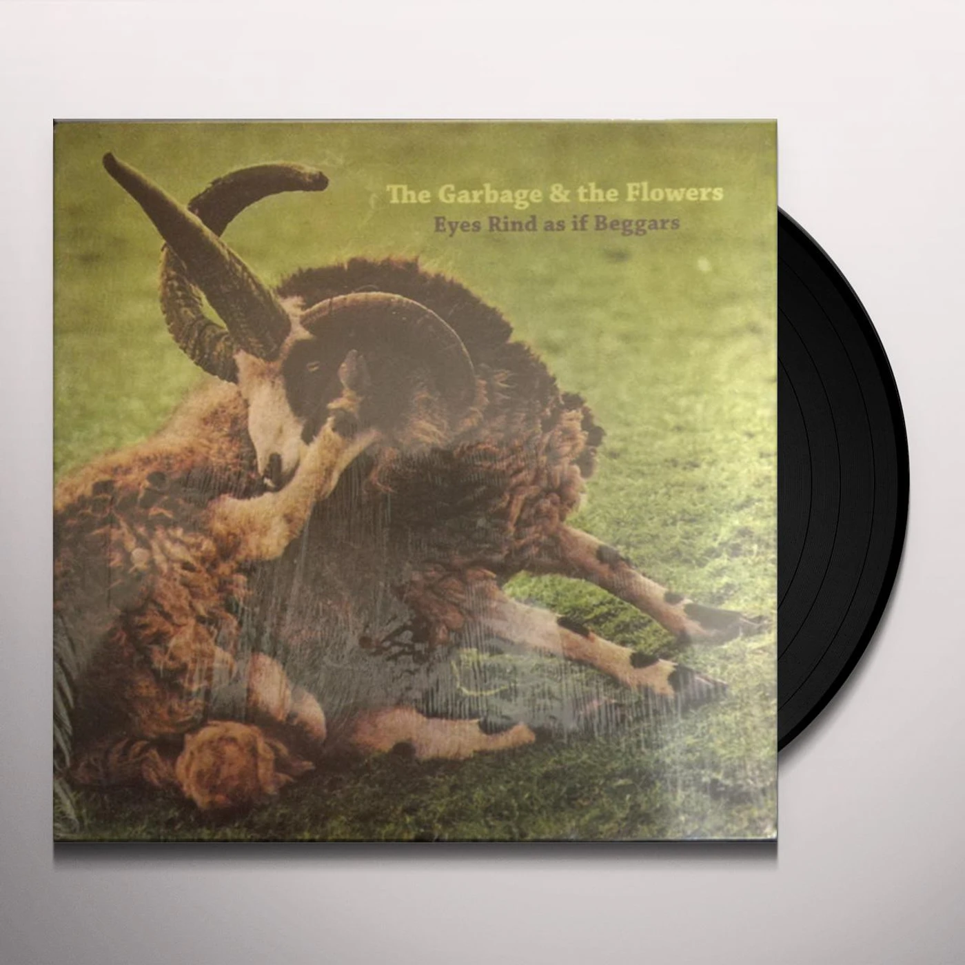 The Garbage & the Flowers EYES RIND AS IF BEGGARS (2LP/CD) Vinyl Record