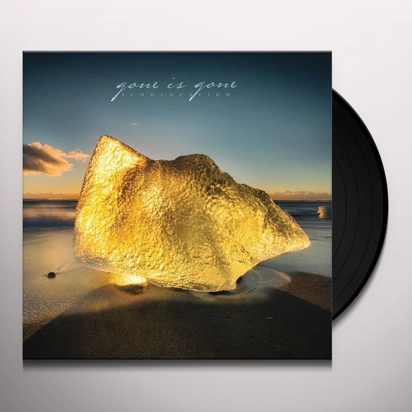 Gone Is Gone ECHOLOCATION (2LP/WHITE COLORED VINYL/DL CARD) Vinyl Record