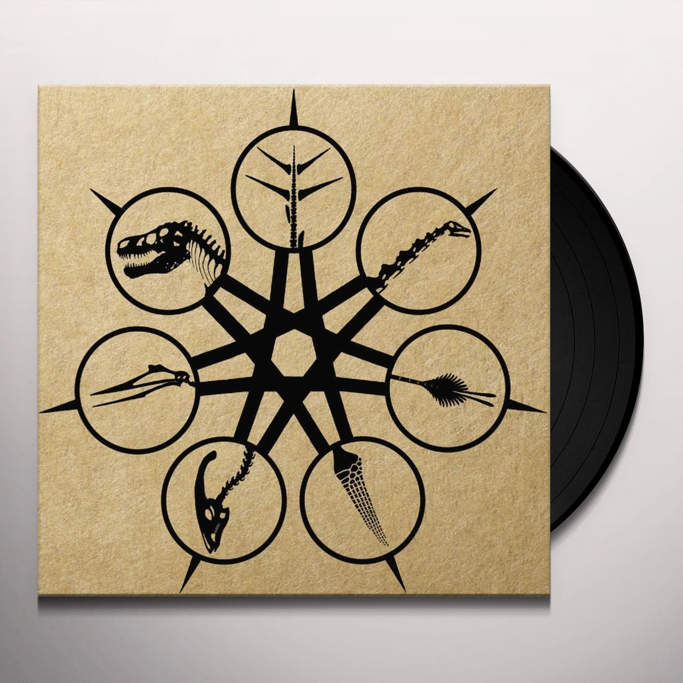 Ian Cooke Antiquasauria Vinyl Record