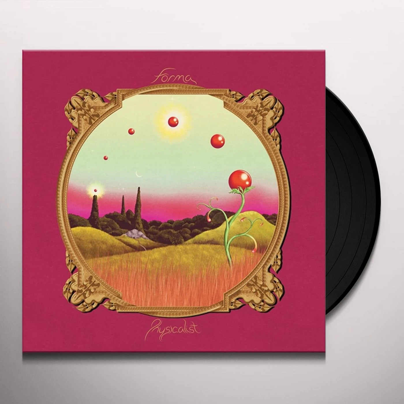 Forma Physicalist Vinyl Record