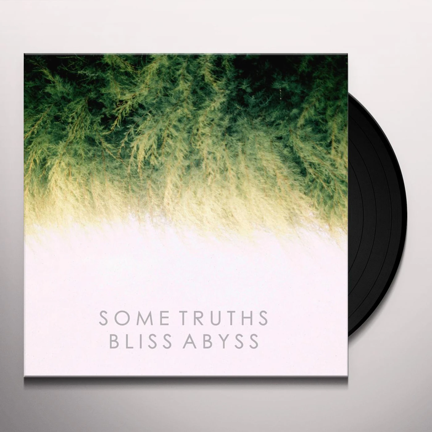 Some Truths BLISS ABYSS Vinyl Record