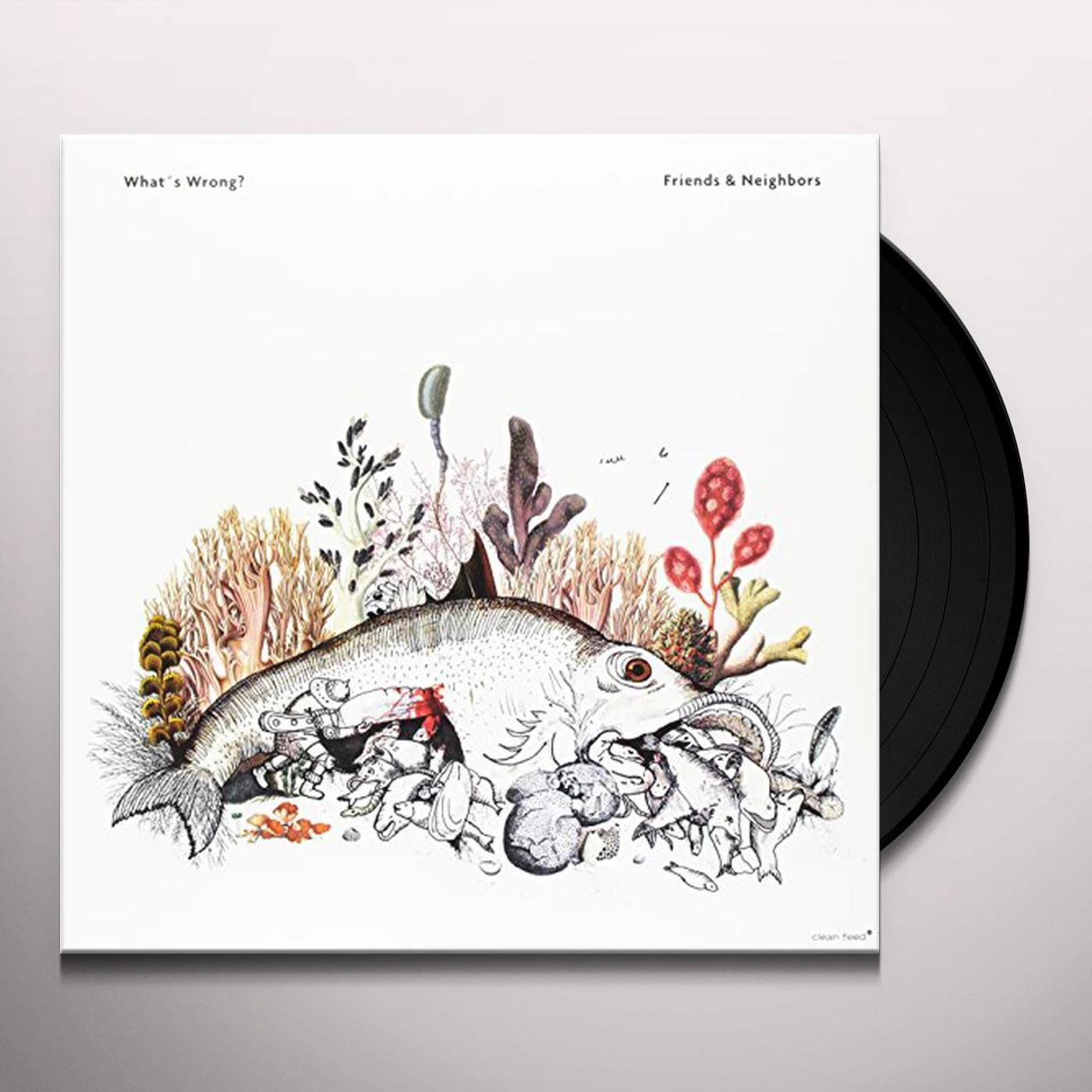 Friends & Neighbors What's Wrong? Vinyl Record
