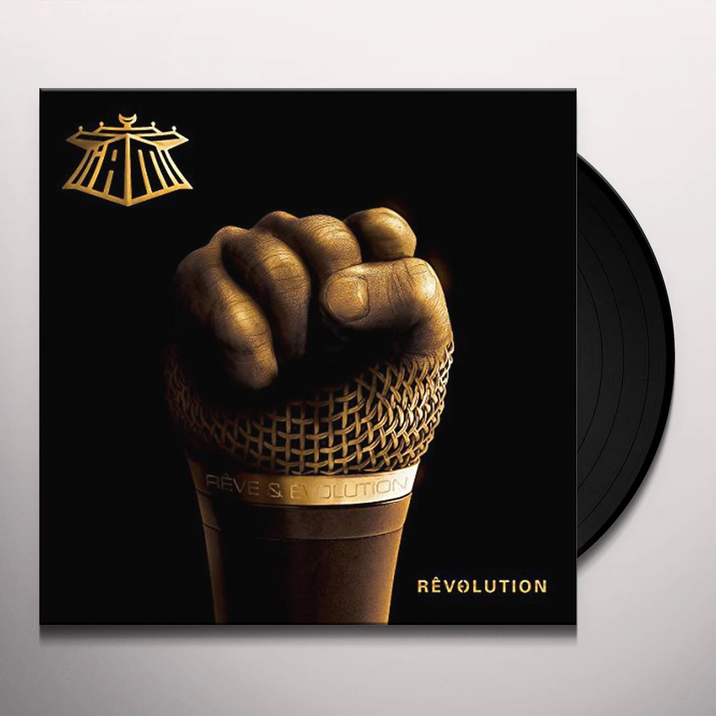 IAM REVOLUTION Vinyl Record