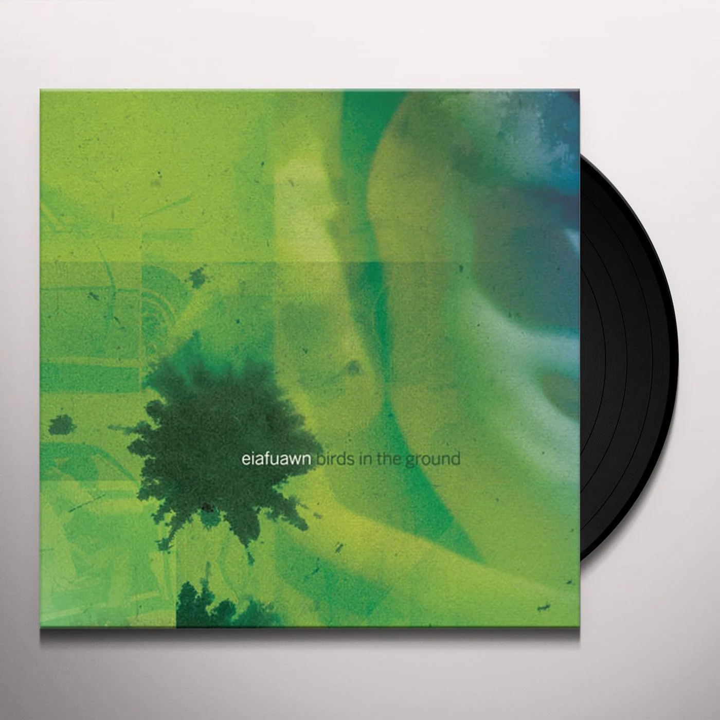 Eiafuawn Birds In The Ground Vinyl Record