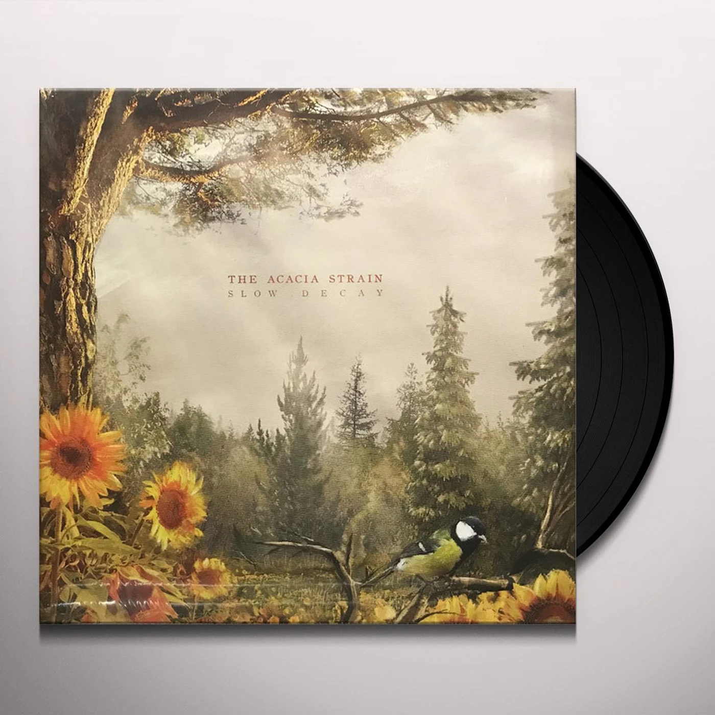 The Acacia Strain SLOW DECAY Vinyl Record