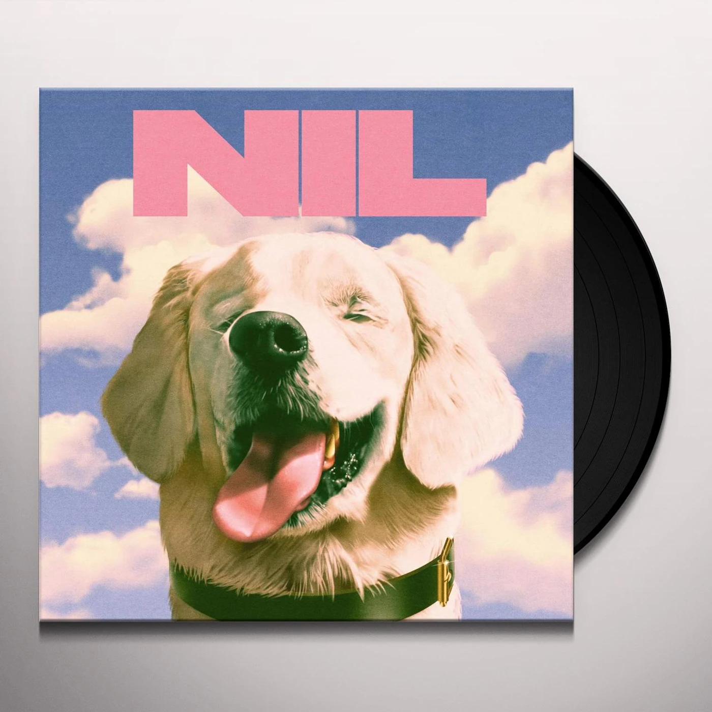The Dirty Nil FUCK ART Vinyl Record