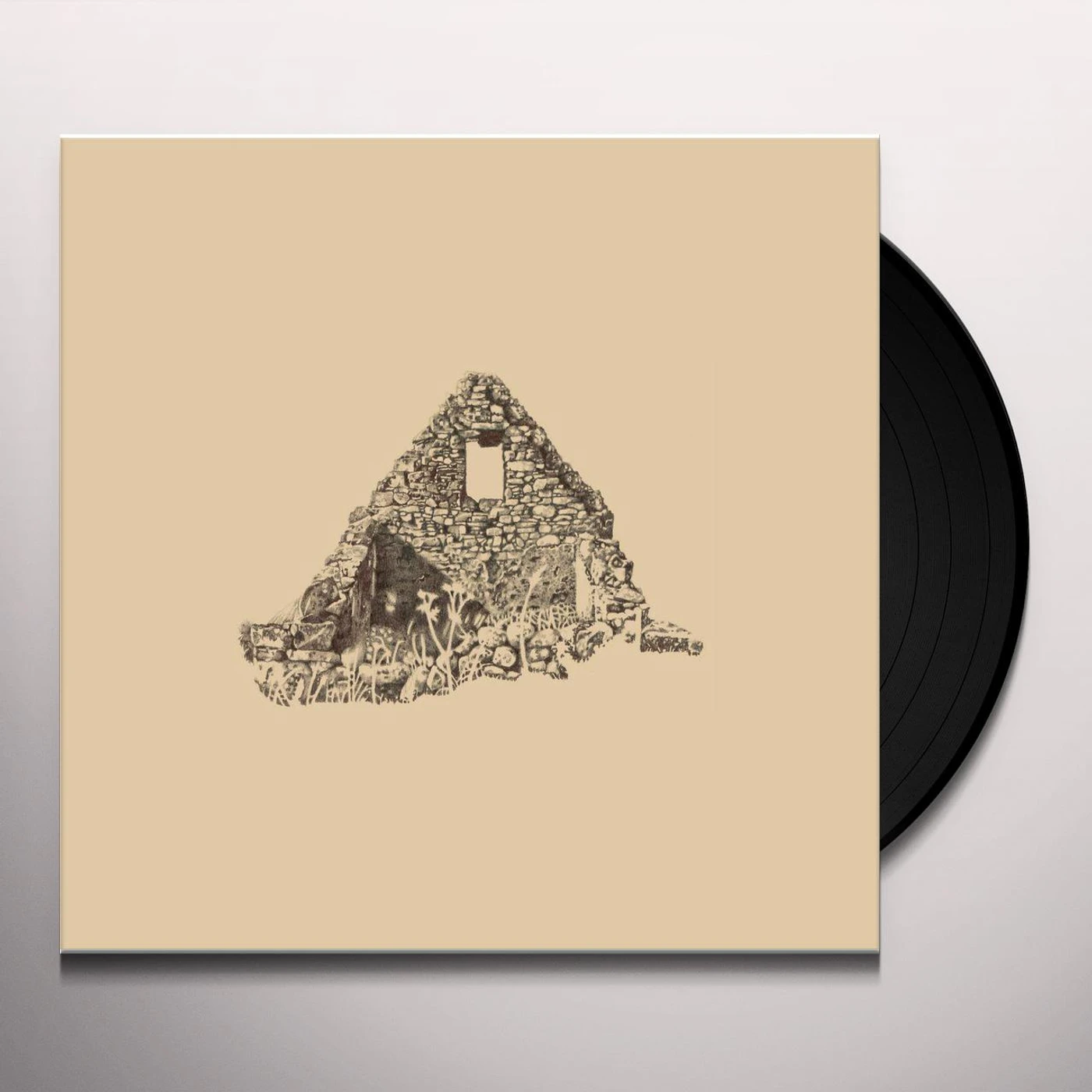 Föhn SEANTEACH Vinyl Record