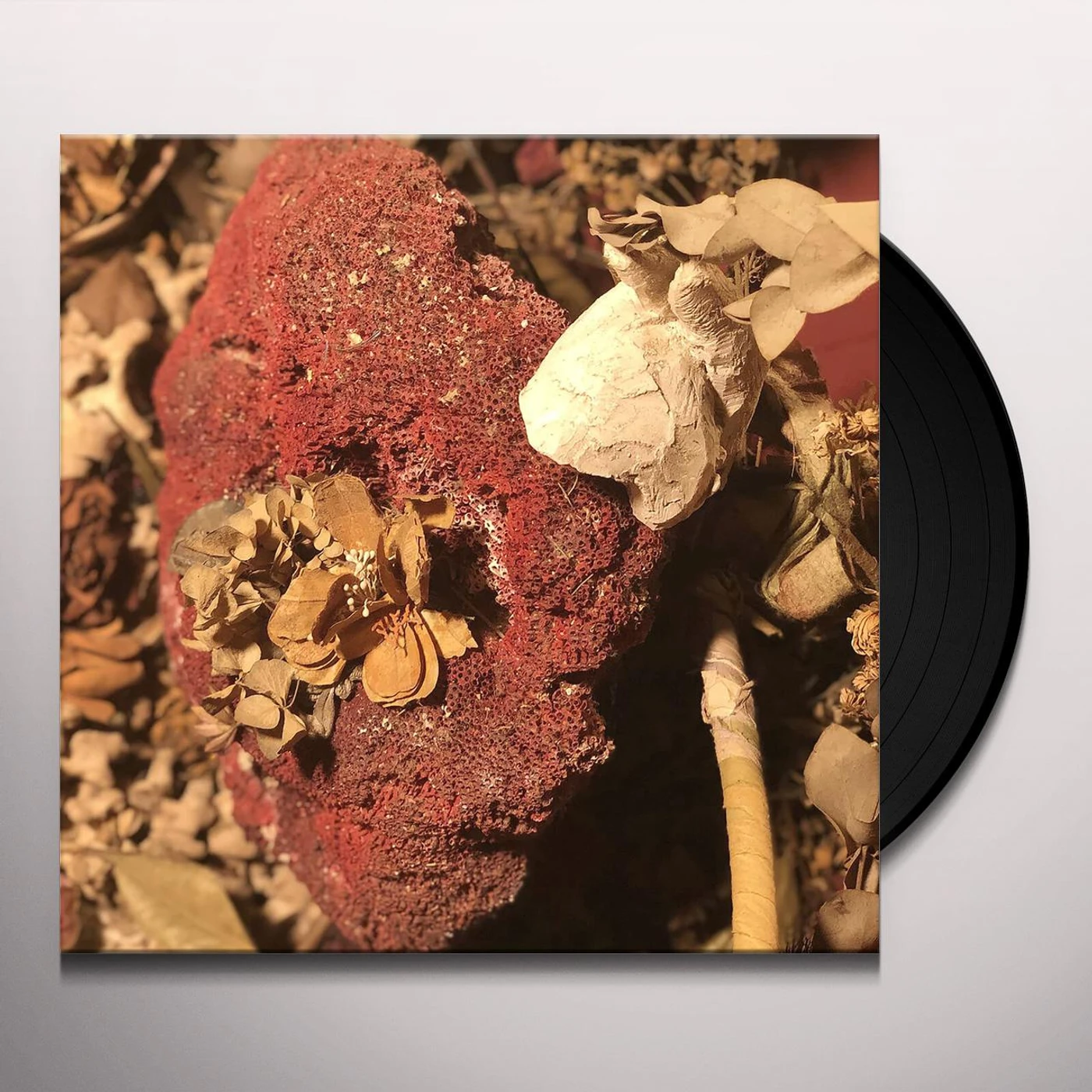 Sylph Silver As It Was Before Vinyl Record