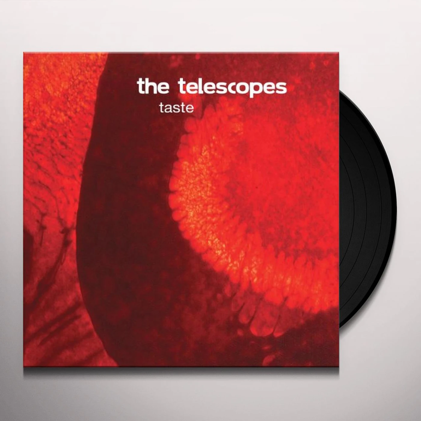 Telescopes Taste Vinyl Record