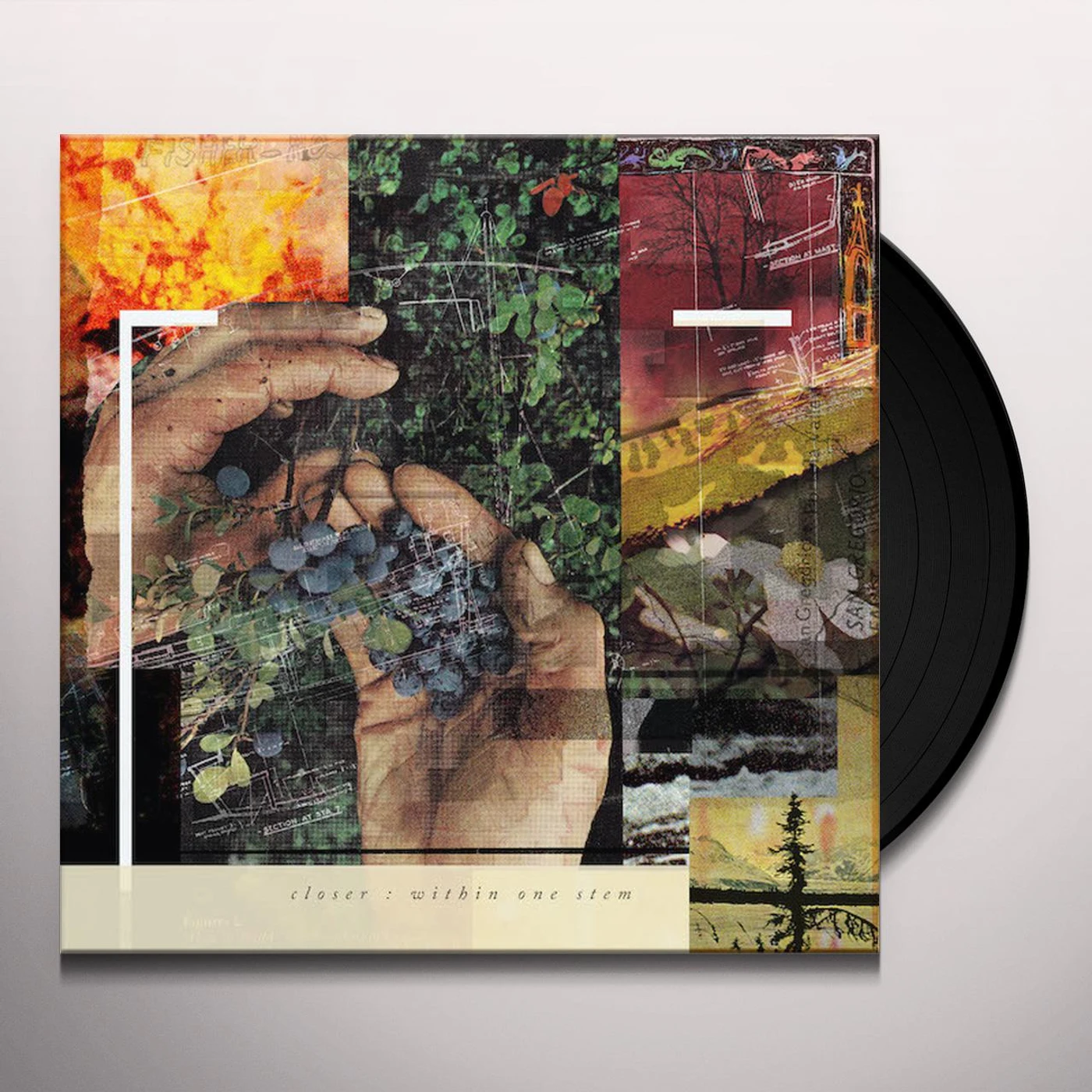 Closer Within One Stem Vinyl Record