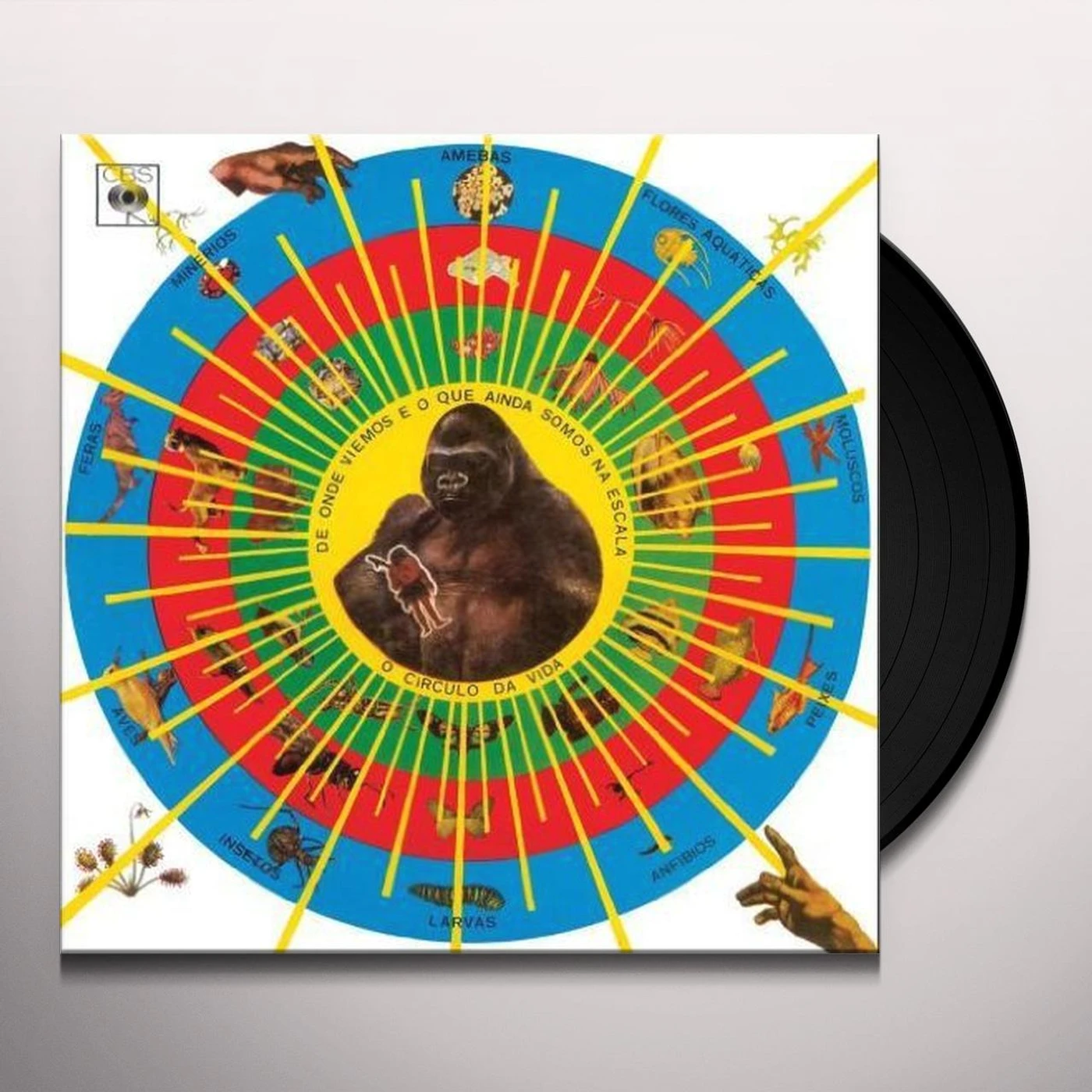 Pedro Santos KRISHNADA Vinyl Record