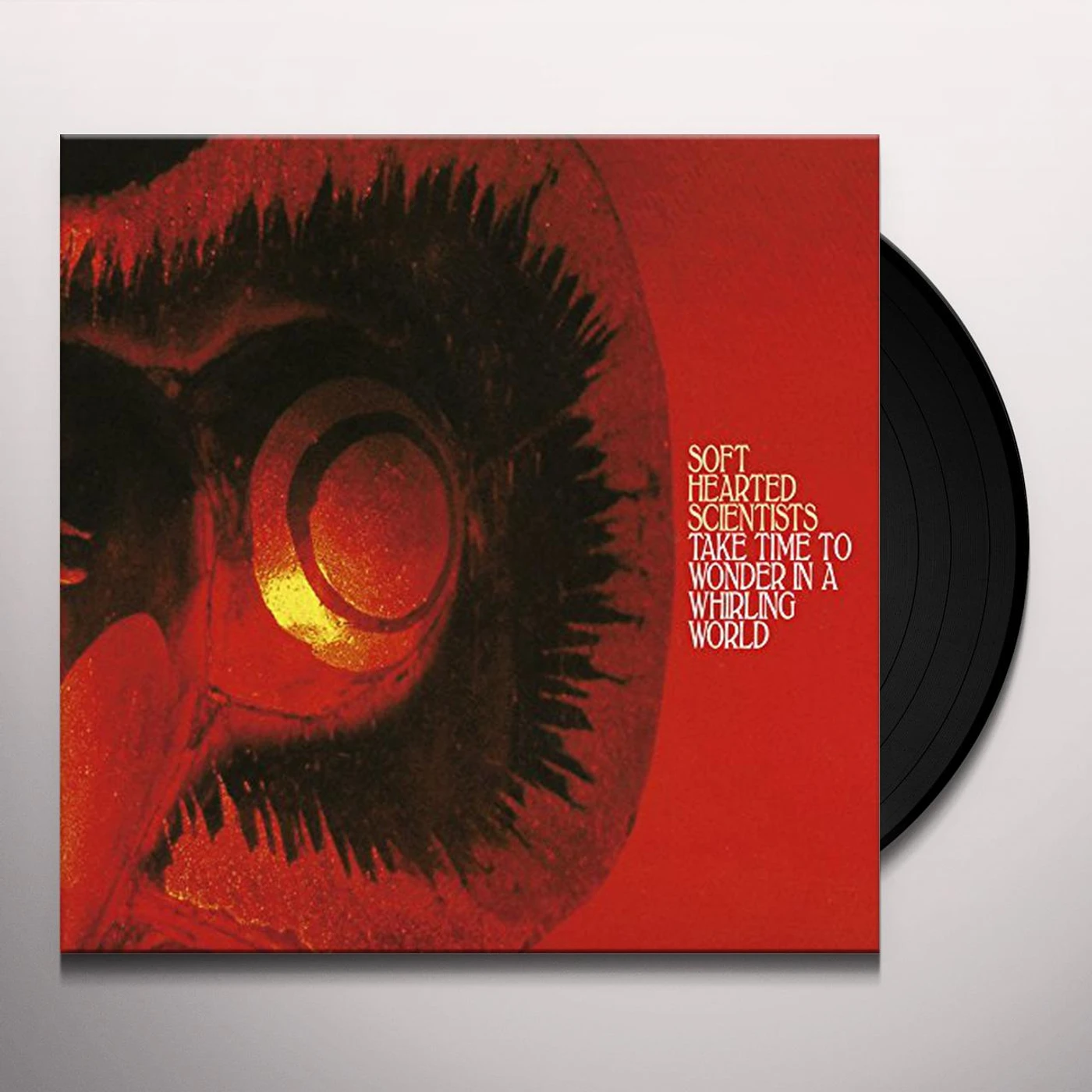 Soft Hearted Scientists Take Time To Wonder In A Whirling World Vinyl Record