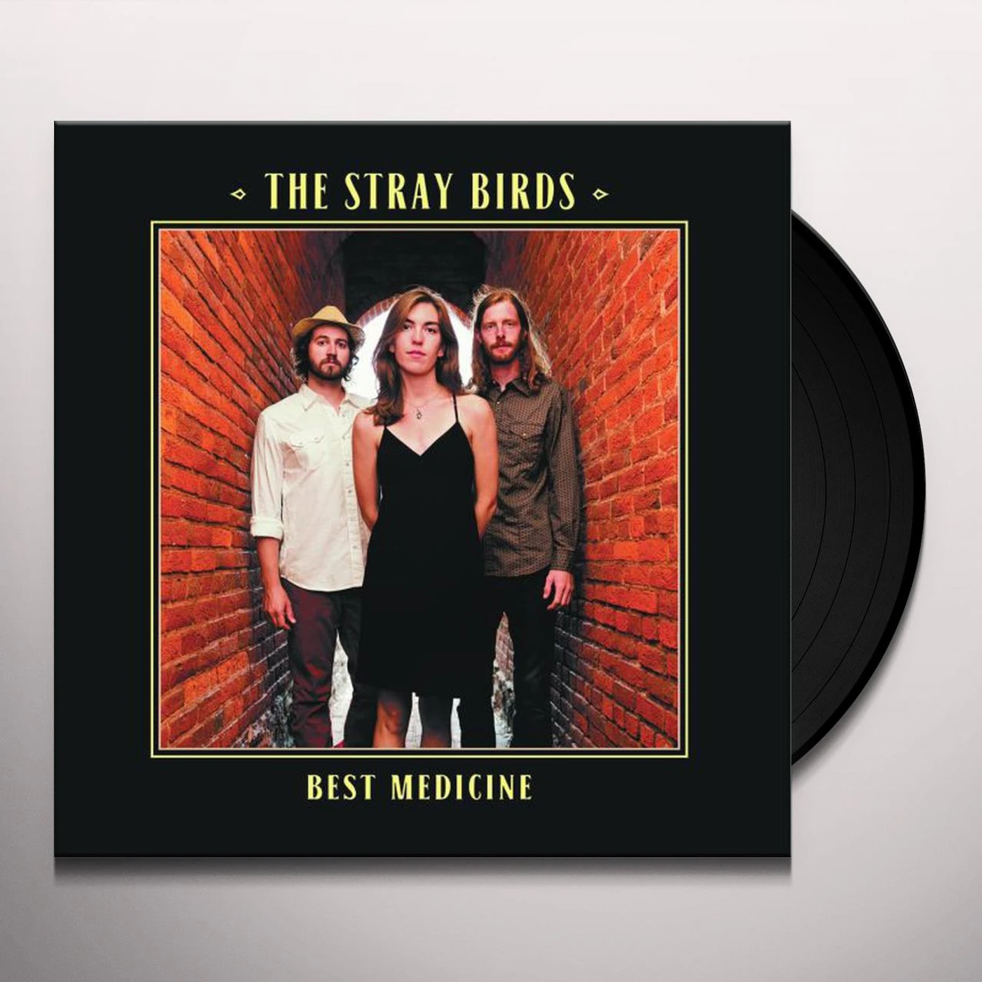 Stray Birds BEST MEDICINE Vinyl Record
