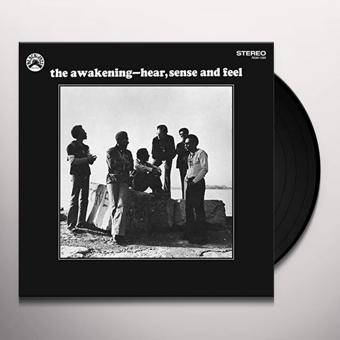 The Awakening HEAR, SENSE & FEEL (REMASTERED VINYL EDITION) Vinyl Record