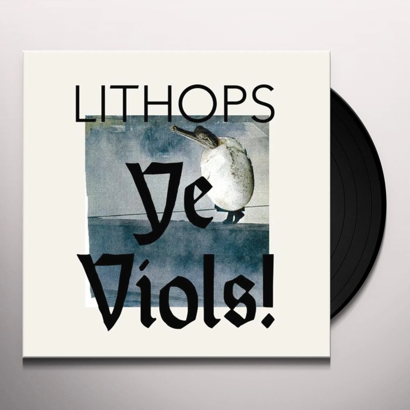 Lithops YE VIOLS Vinyl Record