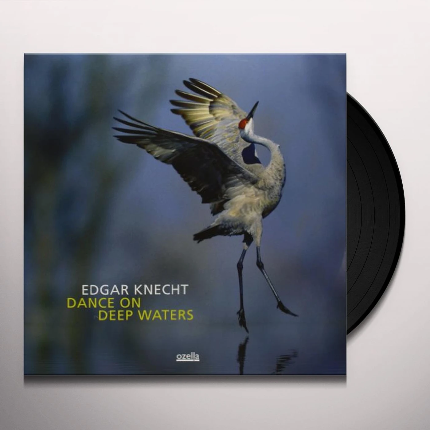 Edgar KnechtKNECHT,EDGAR Vinyl Record
