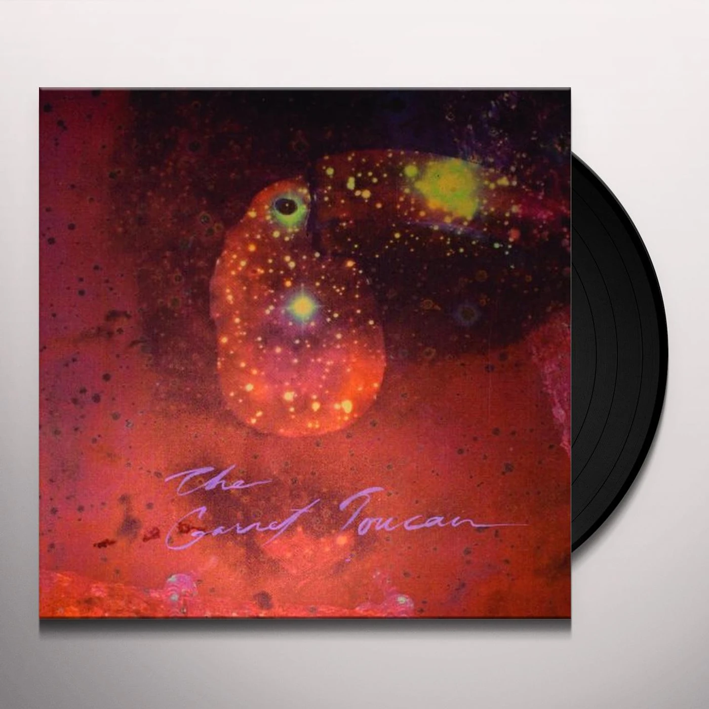 Monopoly Child Star Searchers GARNET TOUCAN Vinyl Record