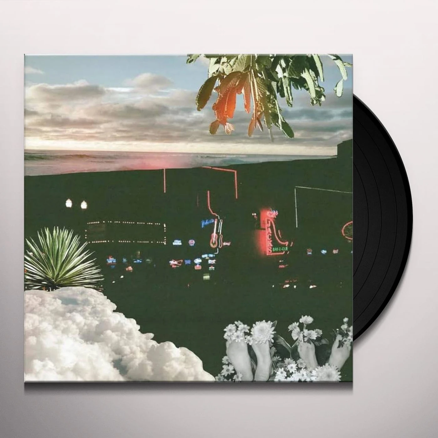 HOT SECOND WITH THE VELVETEINS Vinyl Record