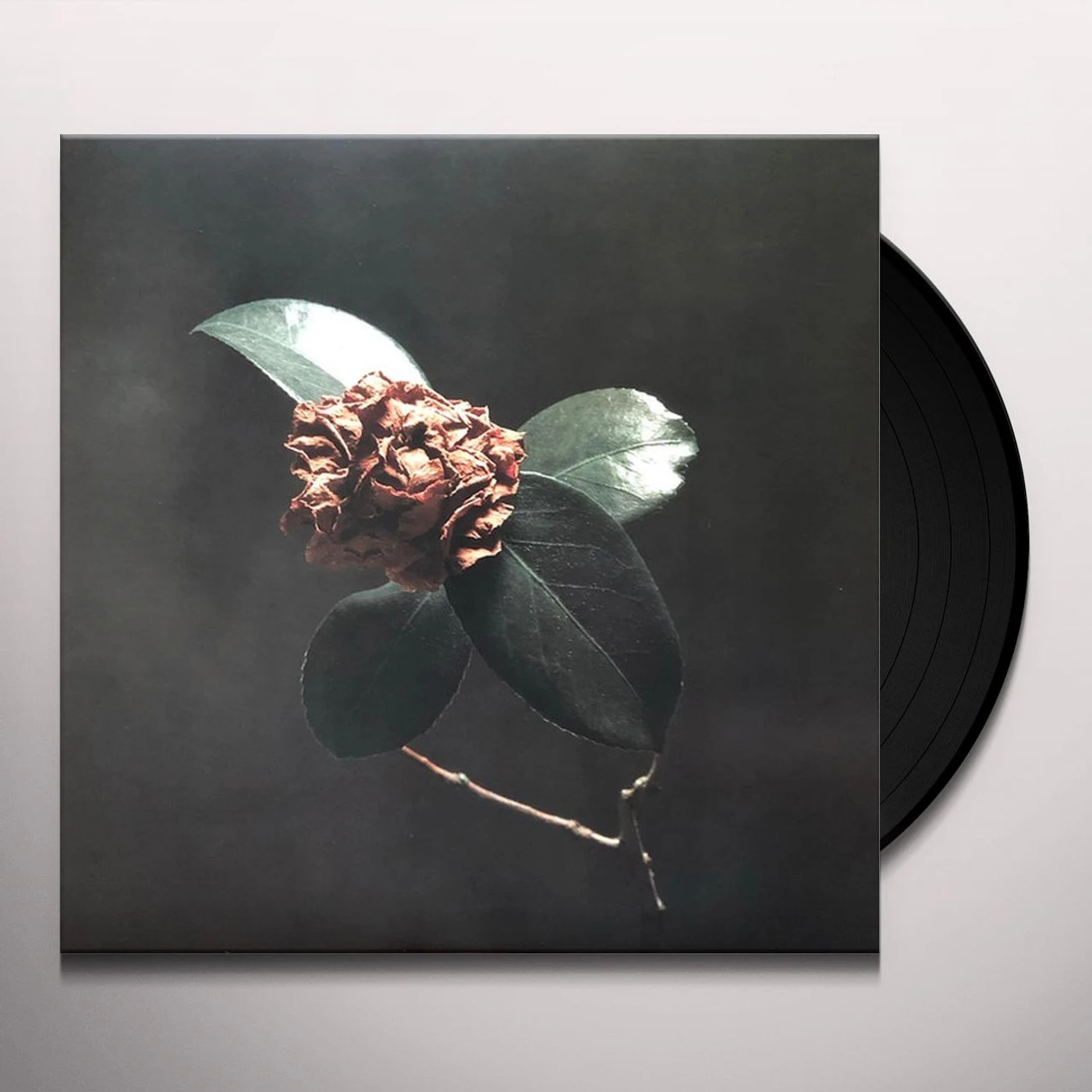 St. Paul & The Broken Bones Young Sick Camellia Vinyl Record