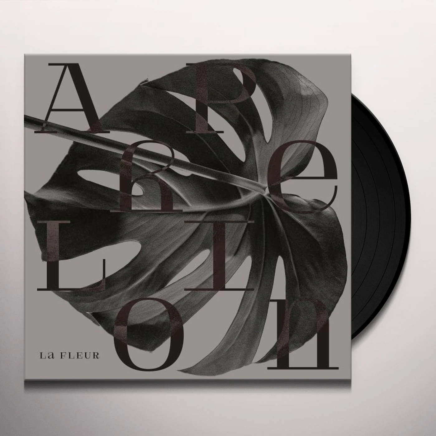 Fleur APHELION Vinyl Record