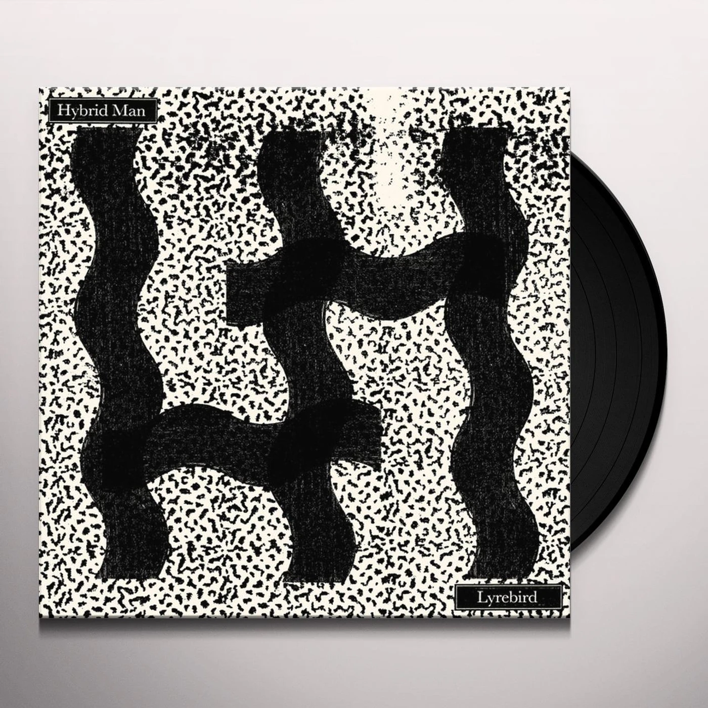 Hybrid Man Lyrebird Vinyl Record