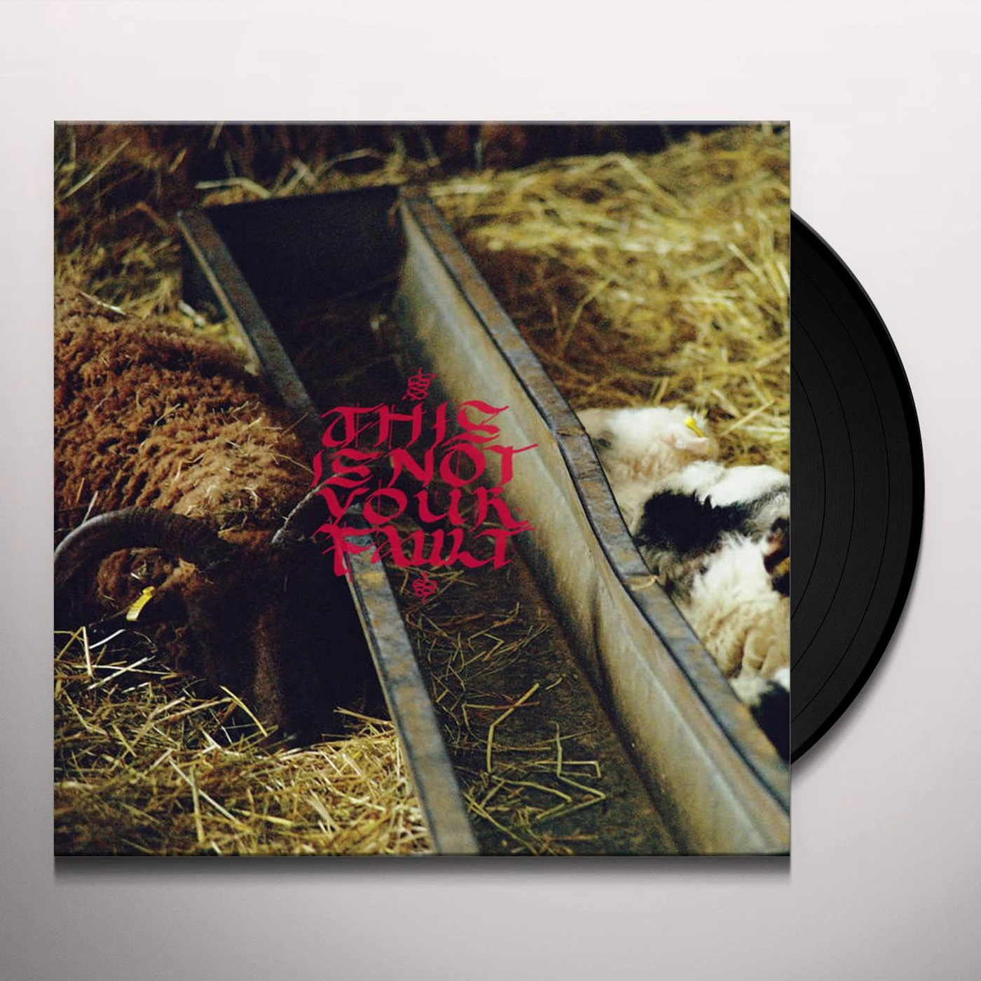 Green Gardens THIS IS NOT YOUR FAULT Vinyl Record