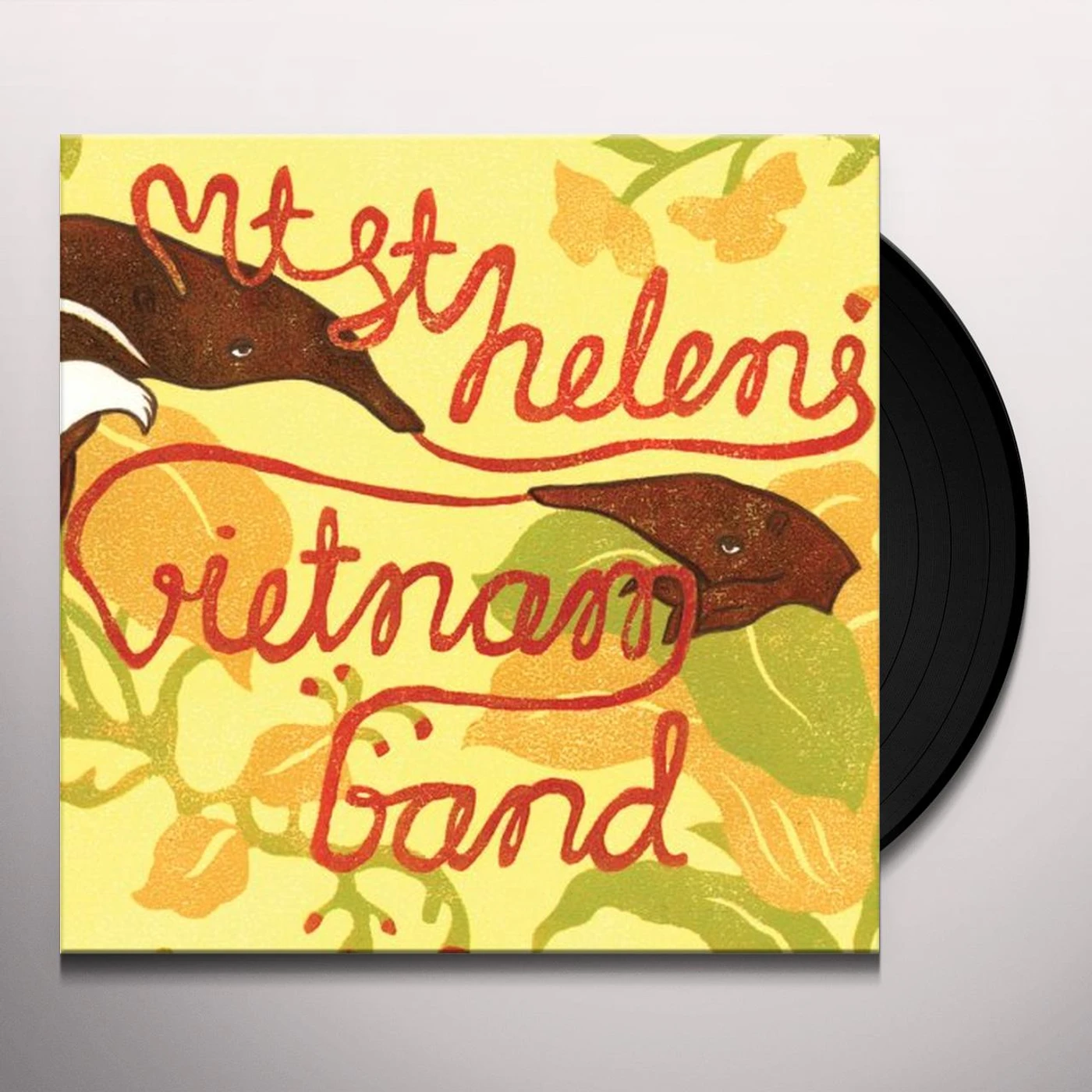 Mt. St. Helens Vietnam Band Vinyl Record