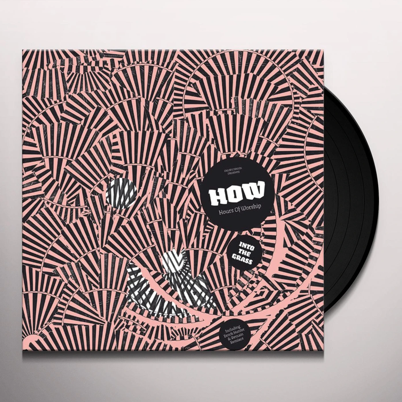 Hours of Worship INTO THE GRASS Vinyl Record