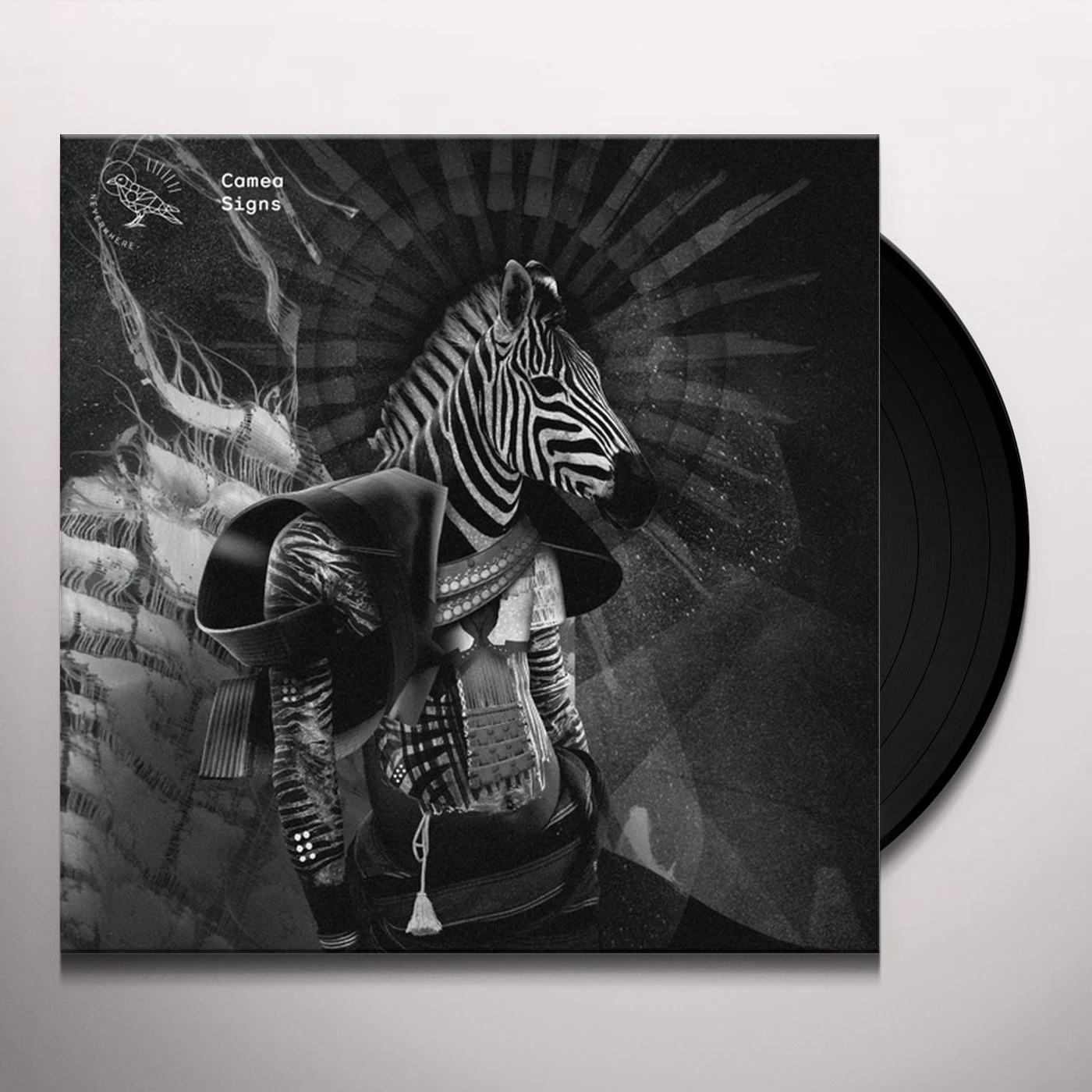 Camea Signs Vinyl Record