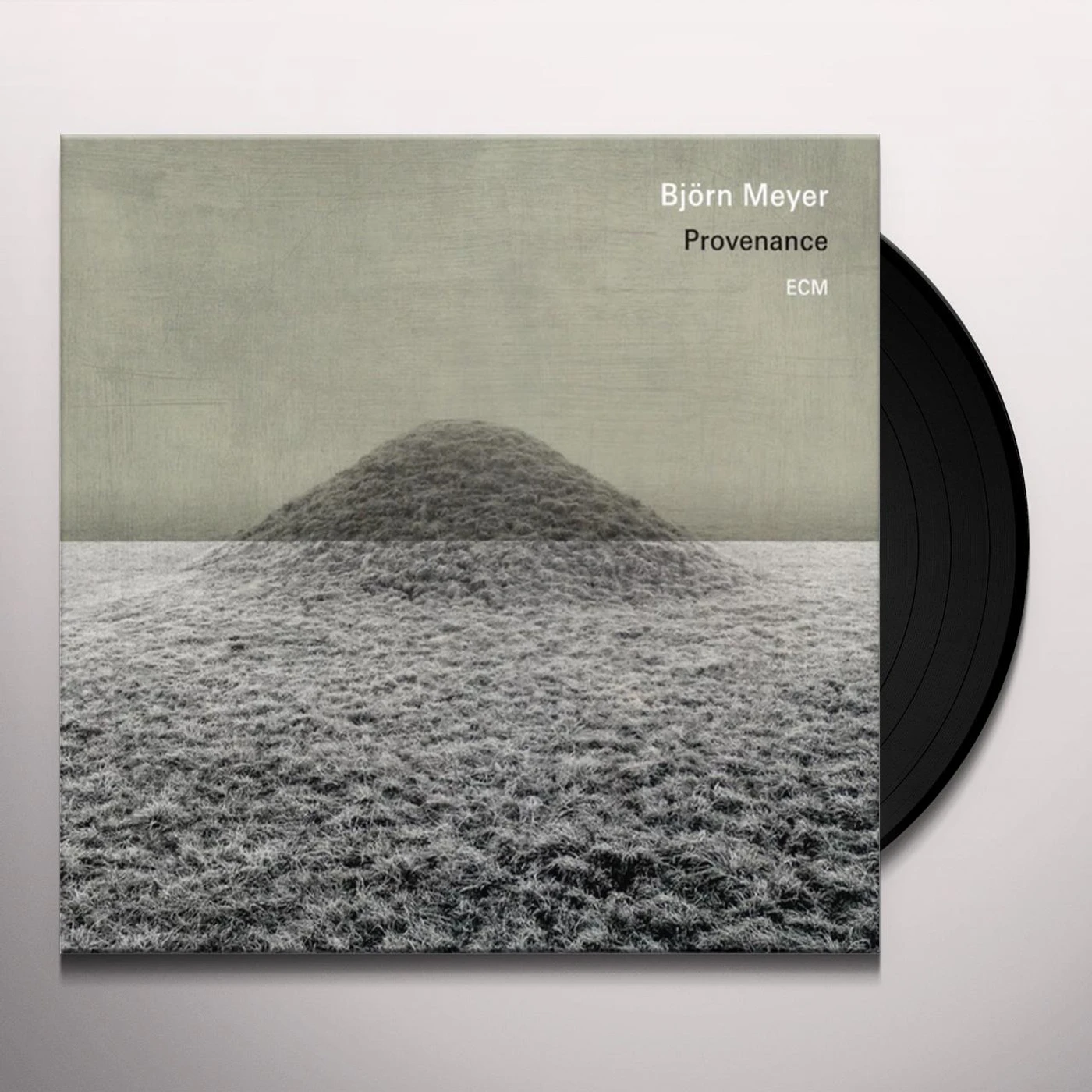 Björn Meyer Provenance Vinyl Record