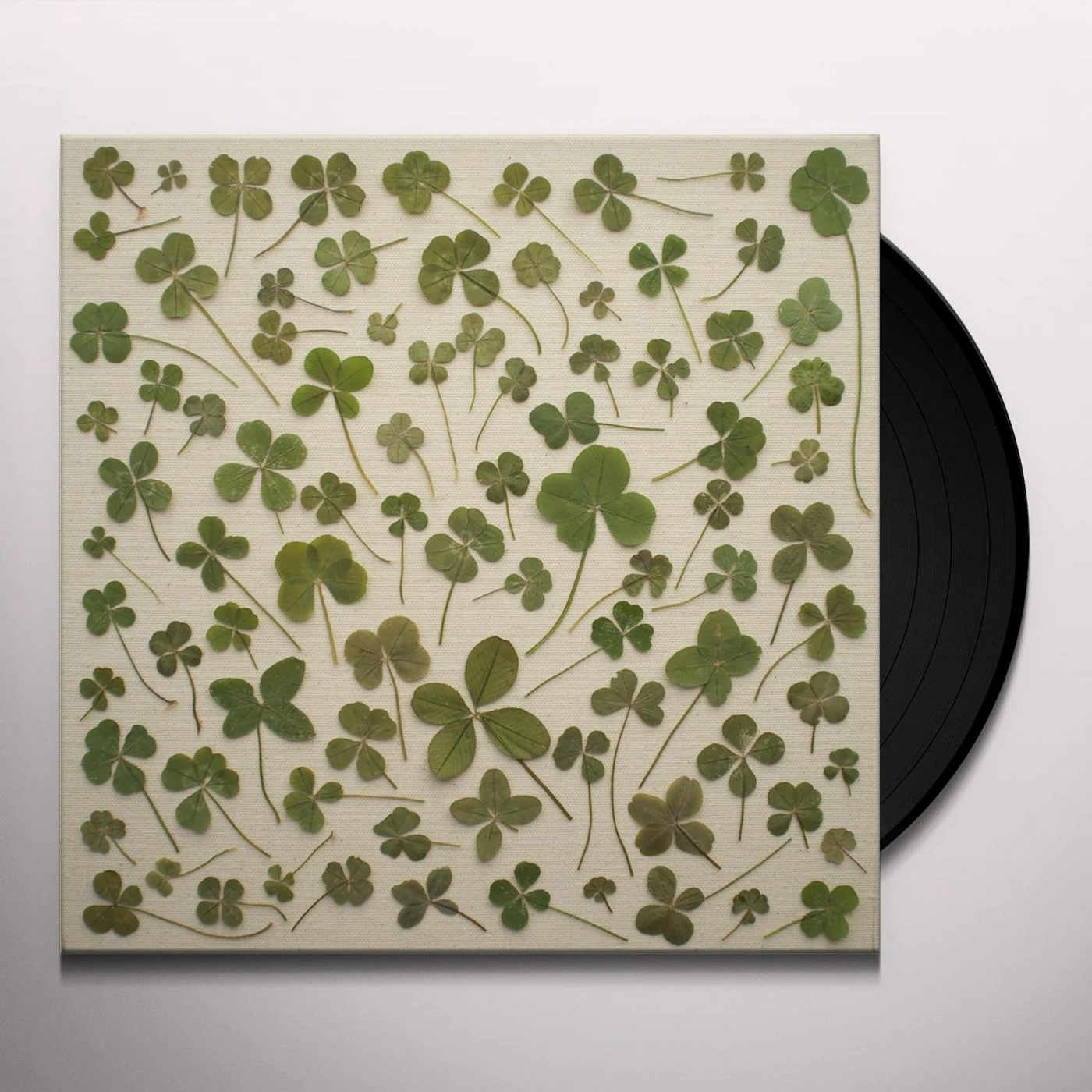 Daniel Martin Moore Turned Over To Dreams Vinyl Record