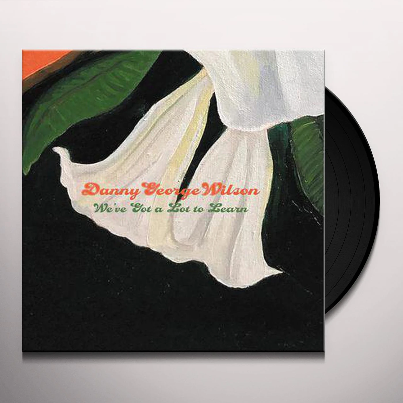 Danny Wilson We've Got a Lot to Learn Vinyl Record