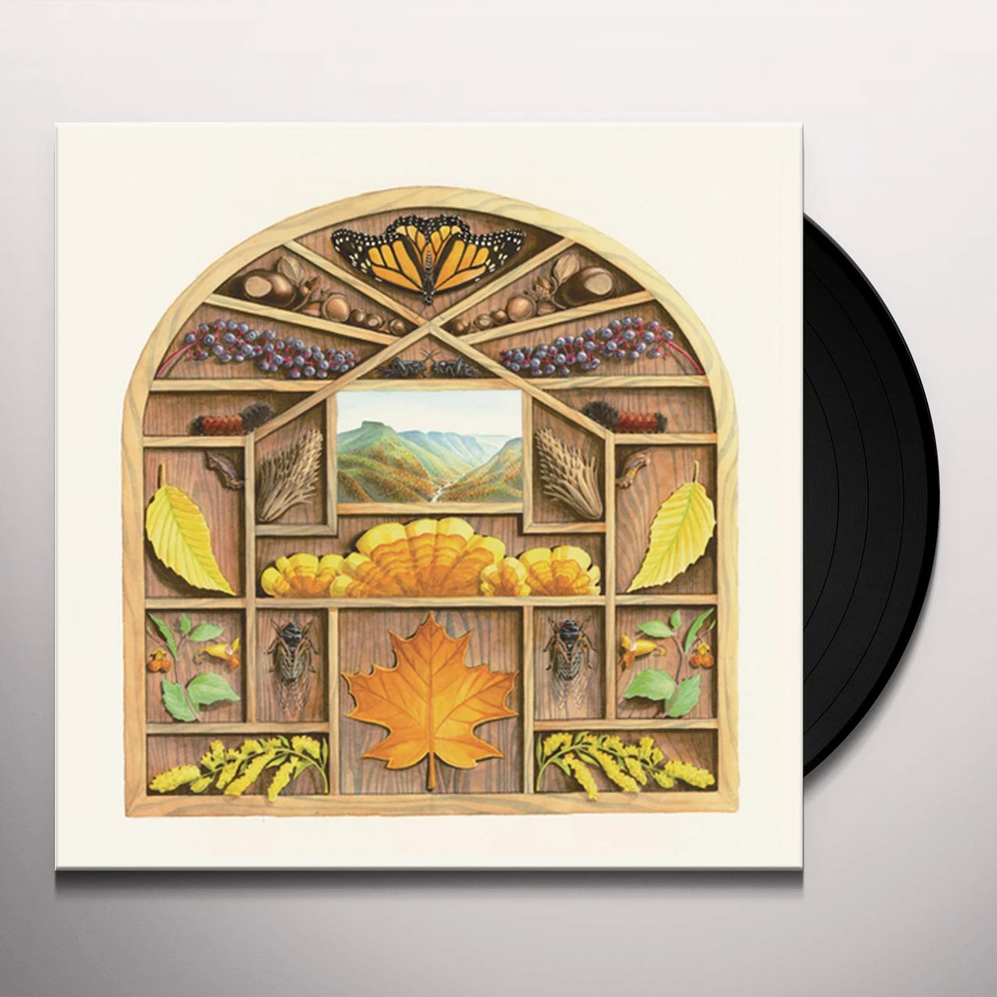 Sarah Louise Field Guide Vinyl Record