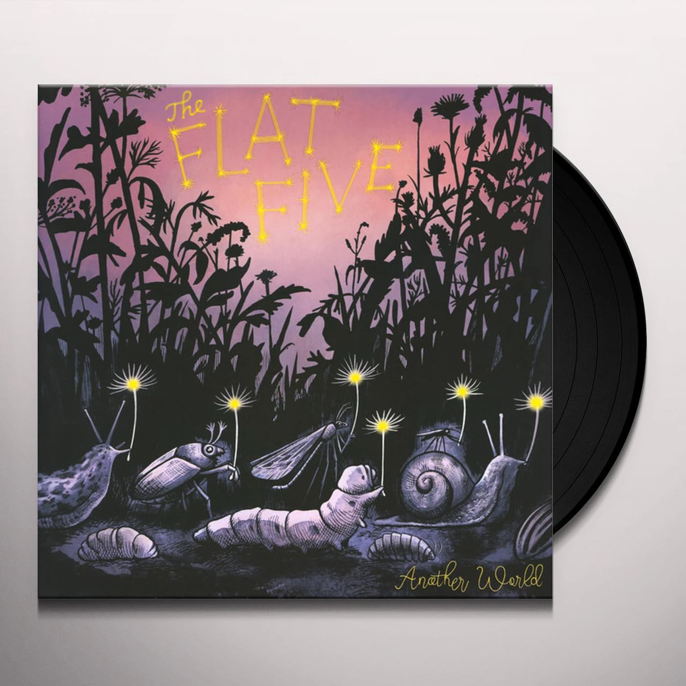 The Flat Five Another World Vinyl Record