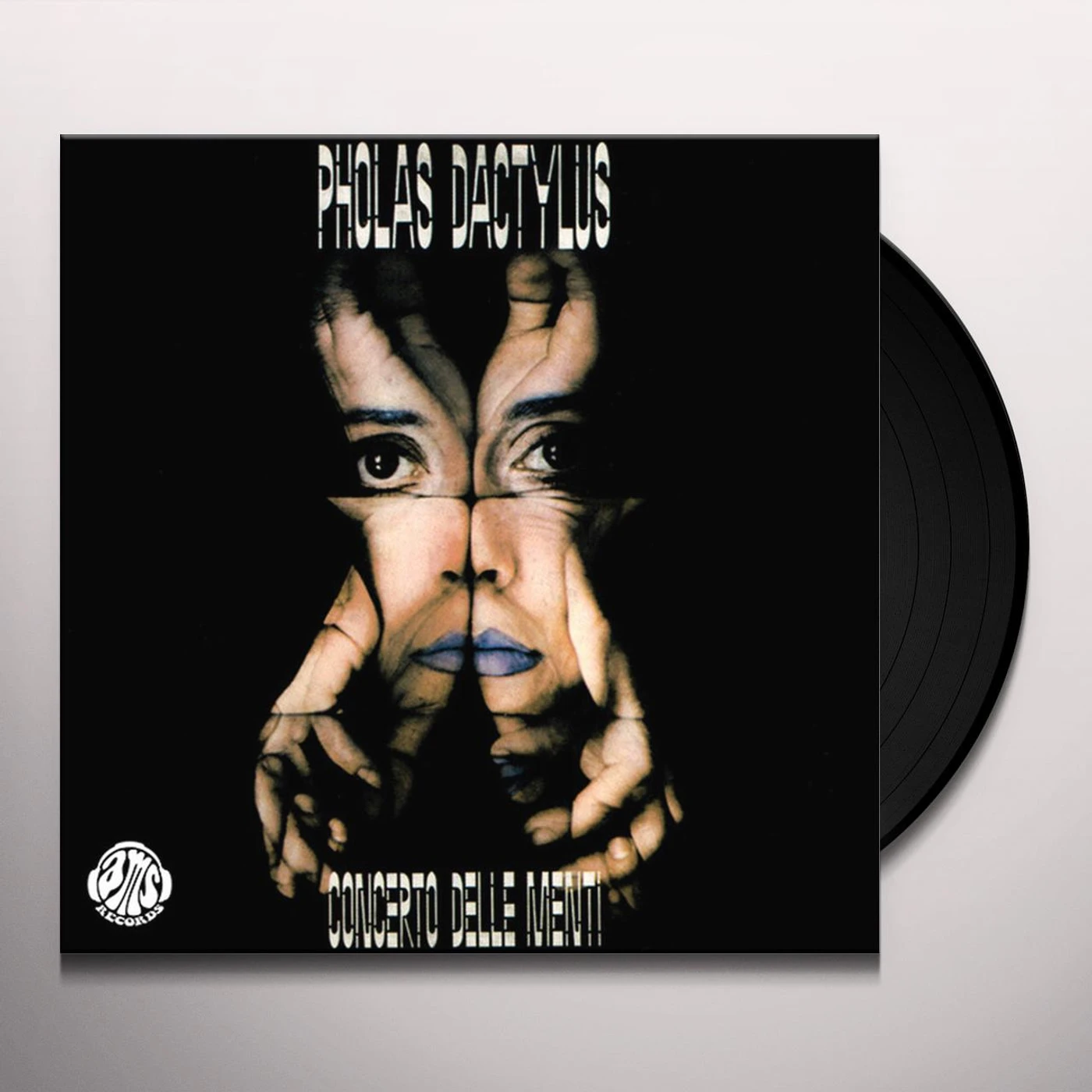 Pholas Dactylus Concerto delle menti Vinyl Record