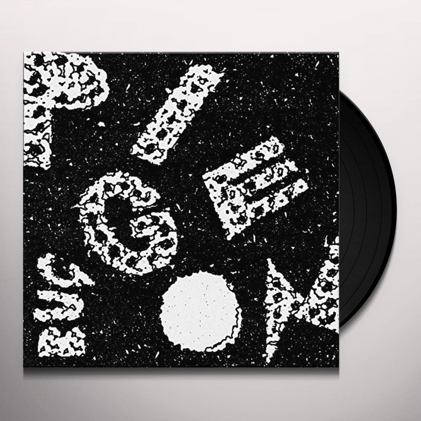 Pigeon Bug Vinyl Record