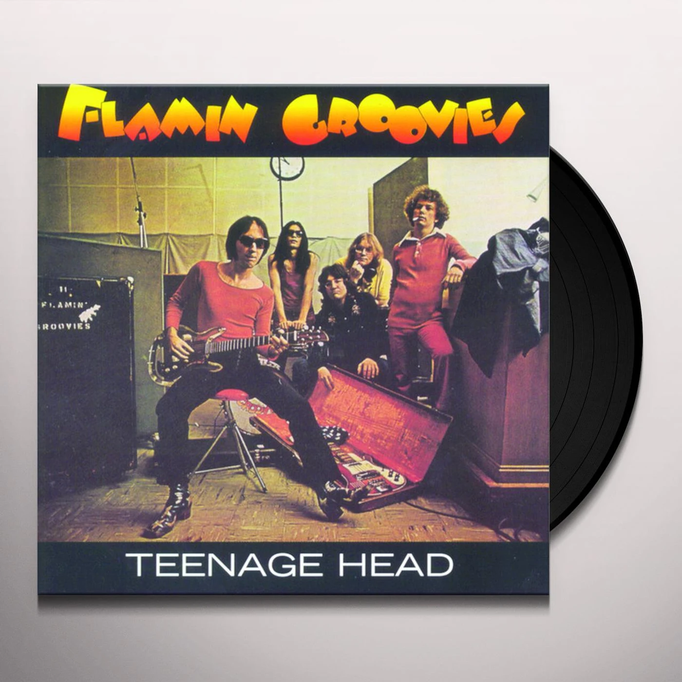 Flamin' Groovies Teenage Head Vinyl Record