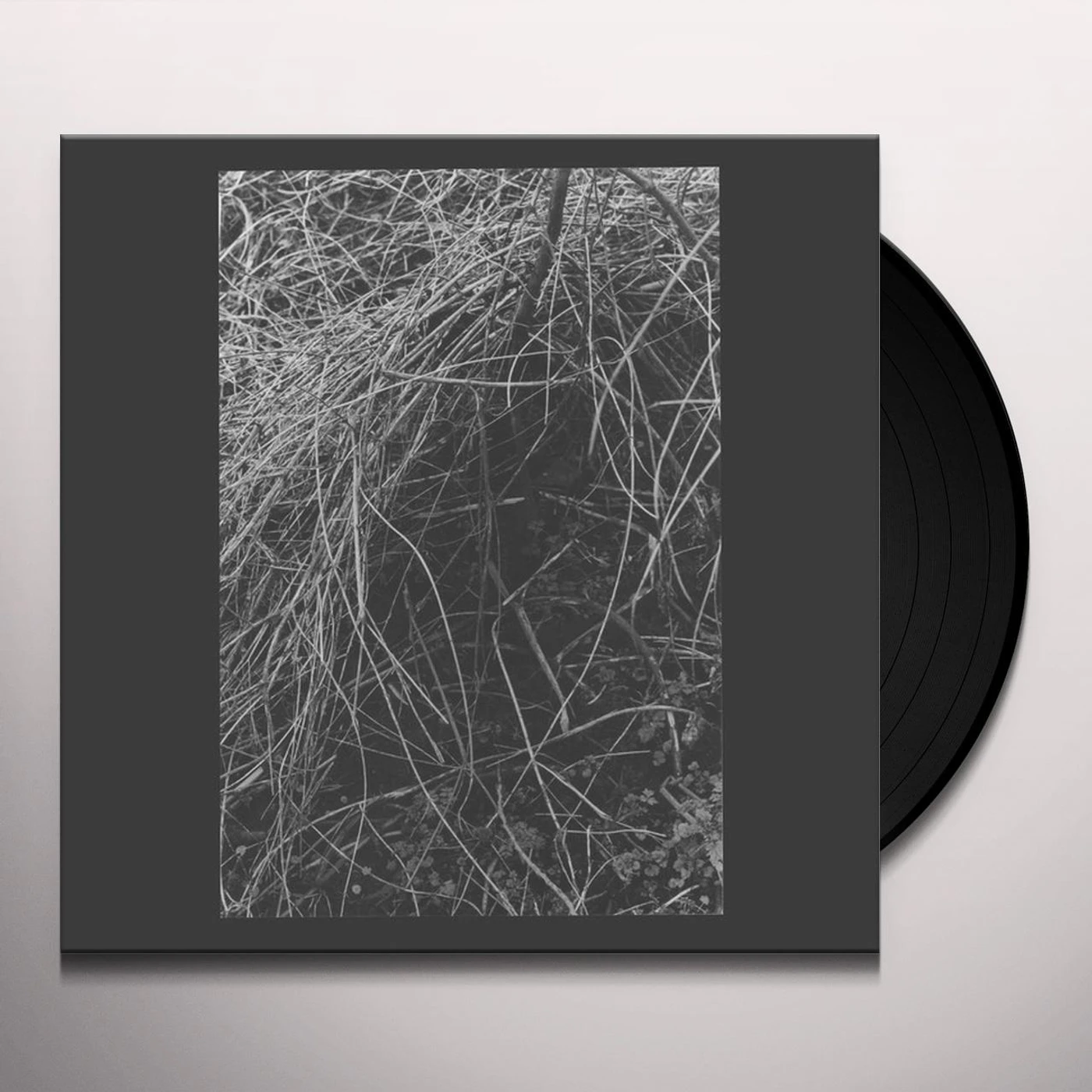 Annelies Monseré Nest Vinyl Record