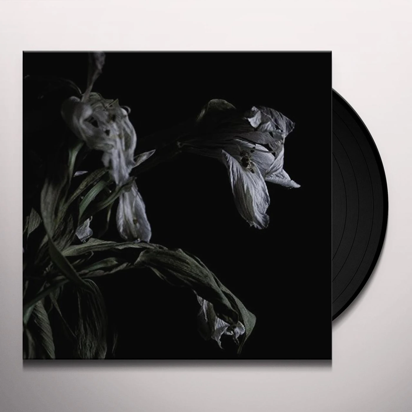 Cavernlight AS WE CUP OUR HANDS & DRINK FROM THE STREAM OF OUR Vinyl Record