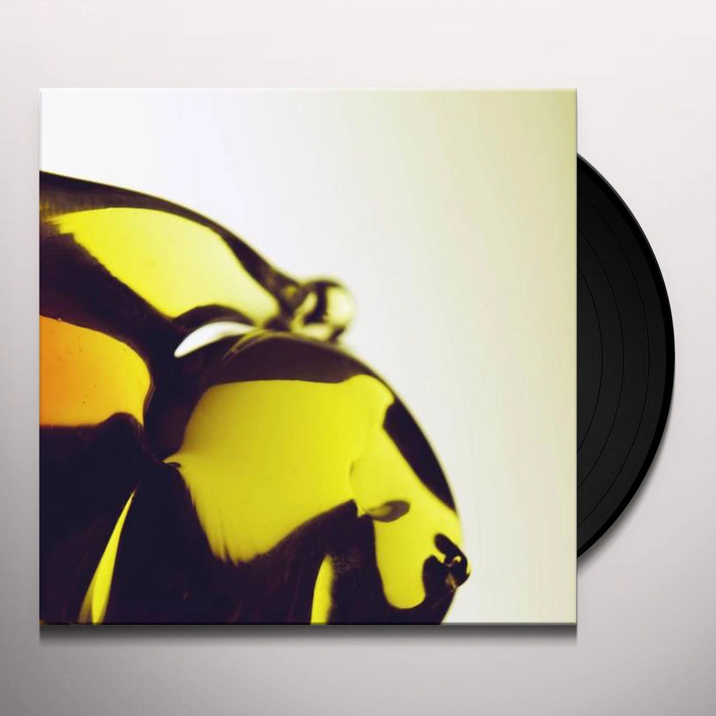 Hooray For Earth True Loves Vinyl Record