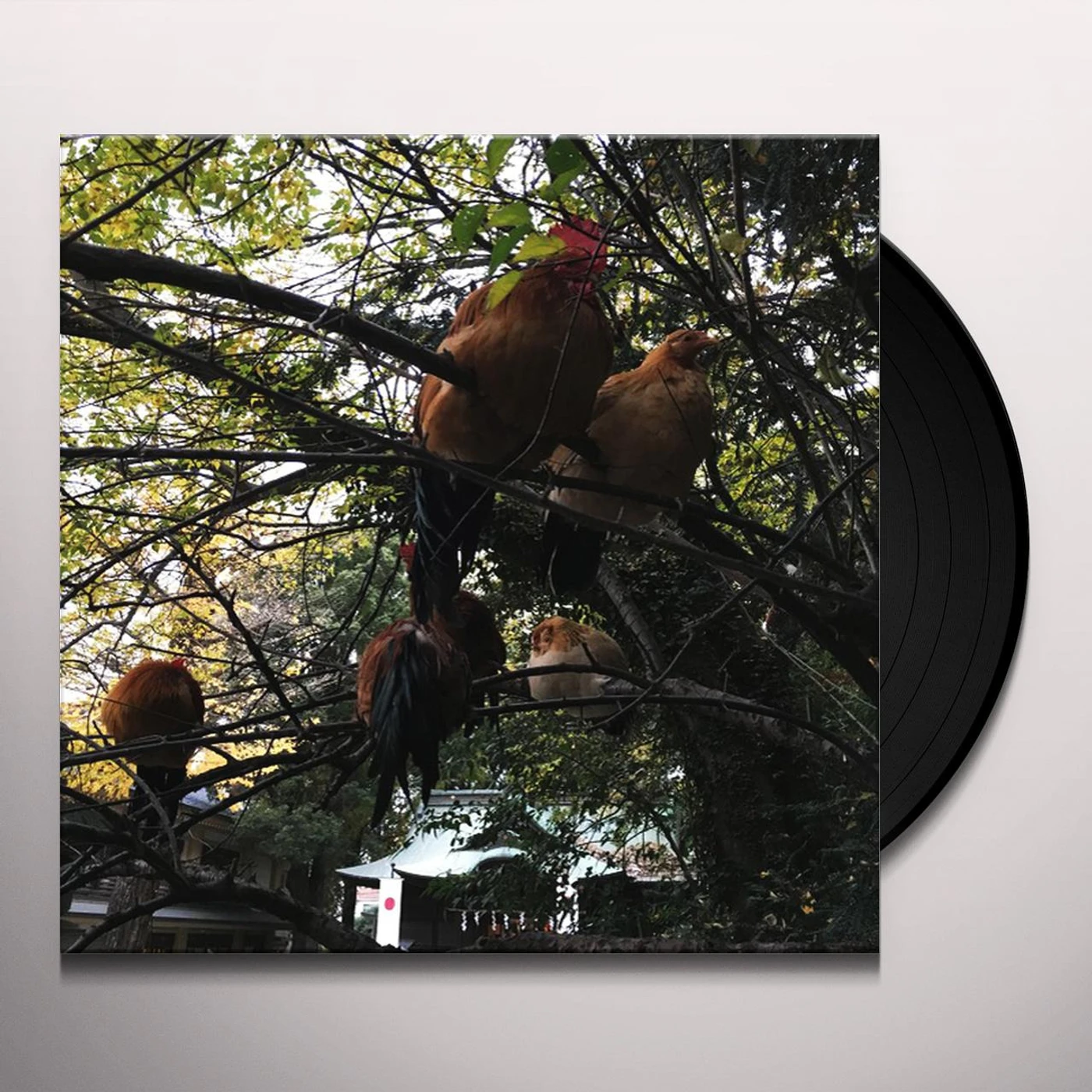 Merzbow Tomarigi Vinyl Record