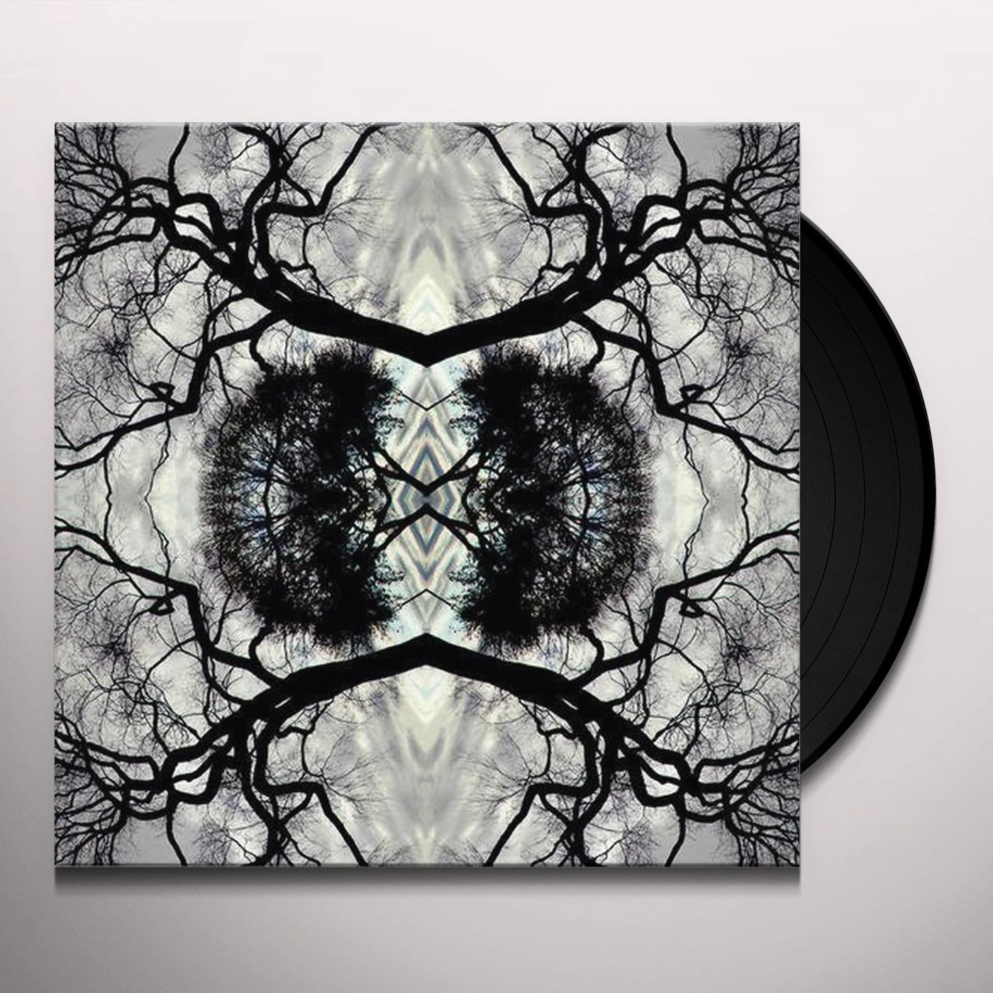 Adam Rudolph SONIC MANDALA GO: ORGANIC ORCHESTRA Vinyl Record