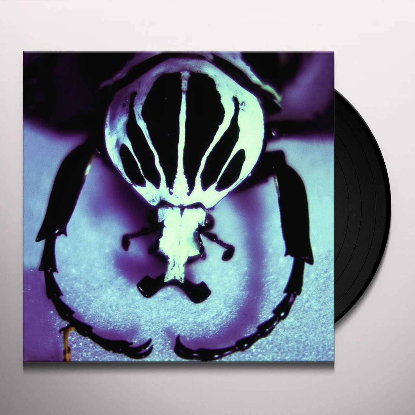 The Age Of Electric MAKE A PEST A PEST Vinyl Record