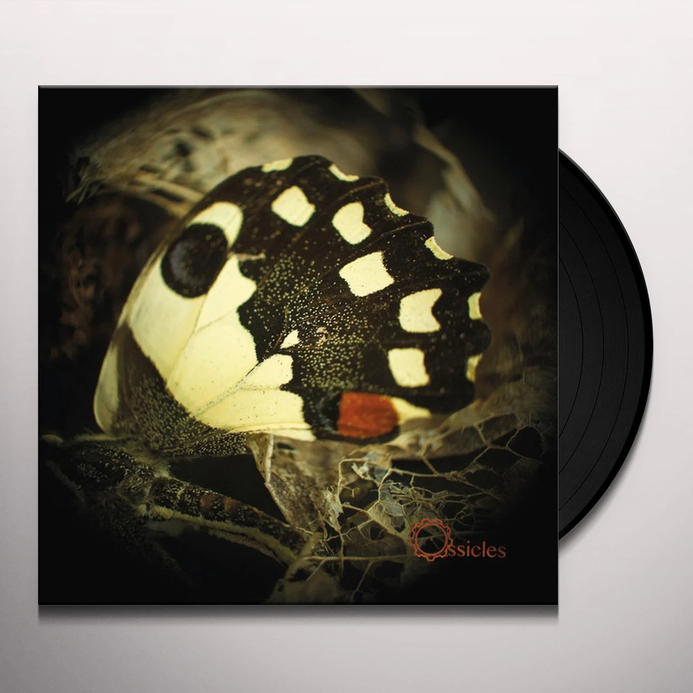 Ossicles MUSIC FOR WASTELANDS Vinyl Record