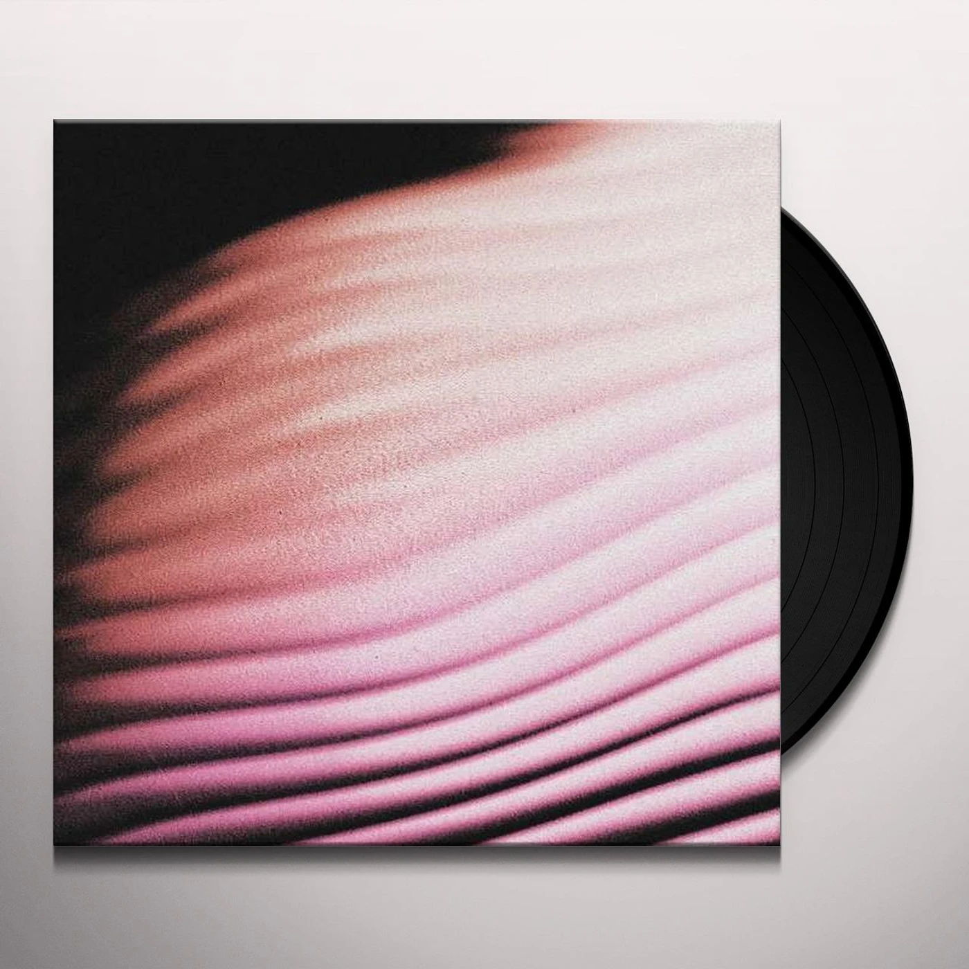 Polar EVERYTHING EVERYWHERE Vinyl Record