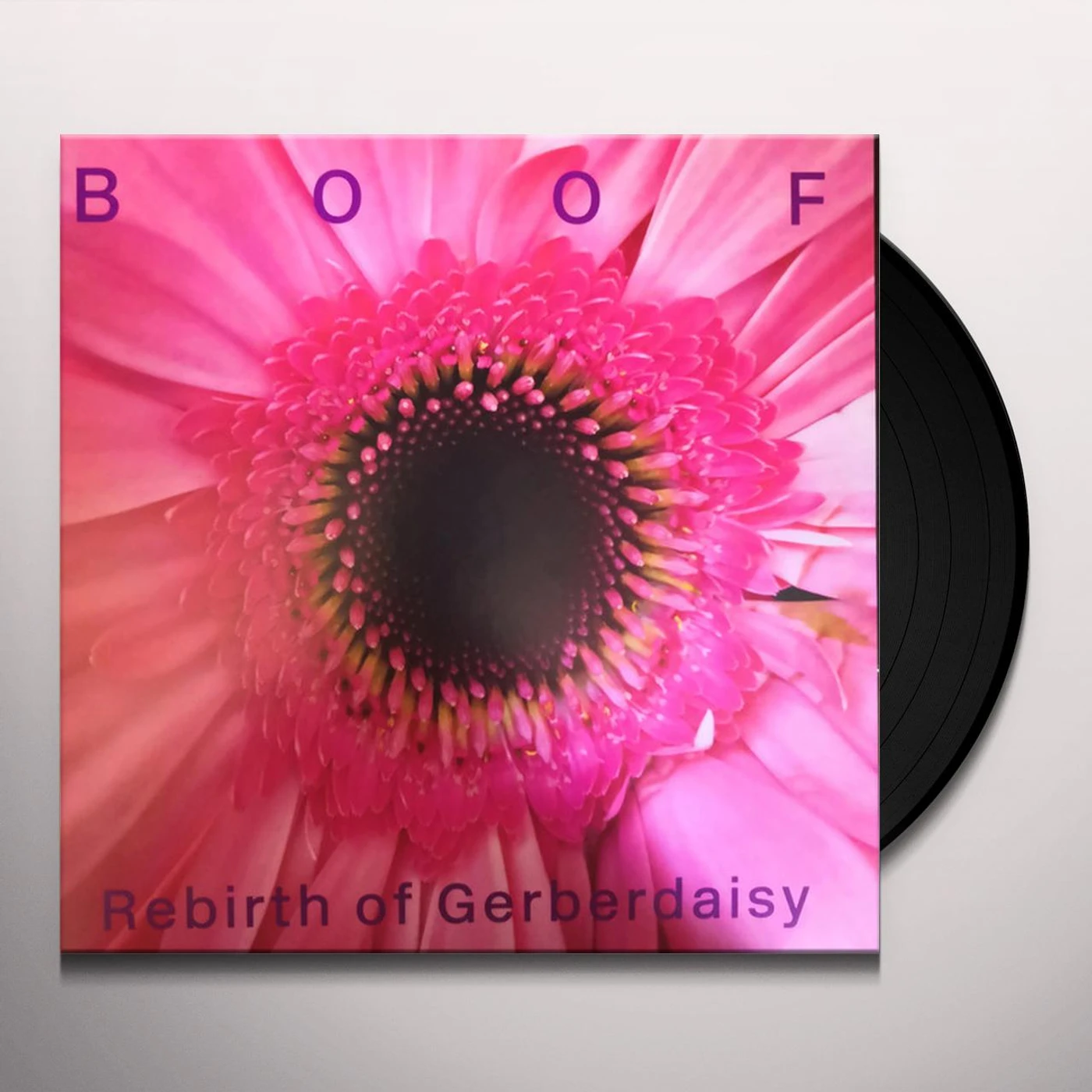 Boof Rebirth of Gerberdaisy Vinyl Record