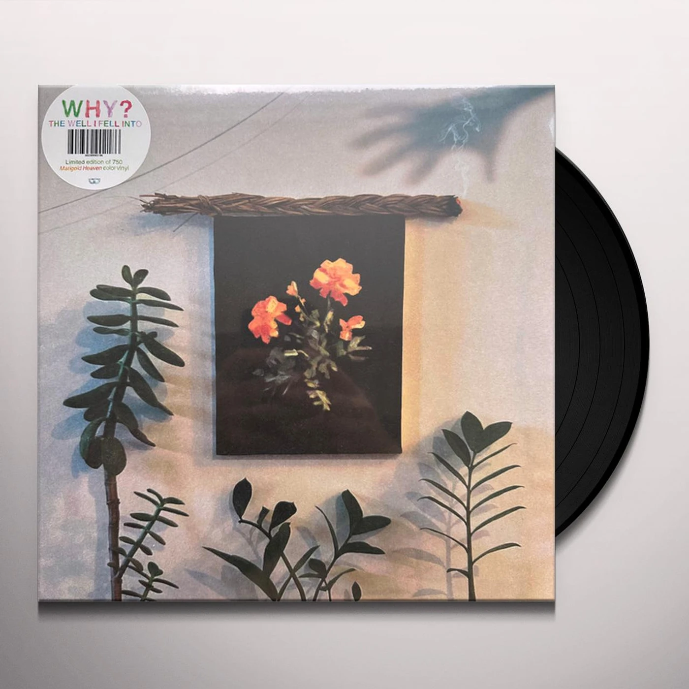 Why WELL I FELL INTO (COKE BOTTLE CLEAR VINYL) Vinyl Record