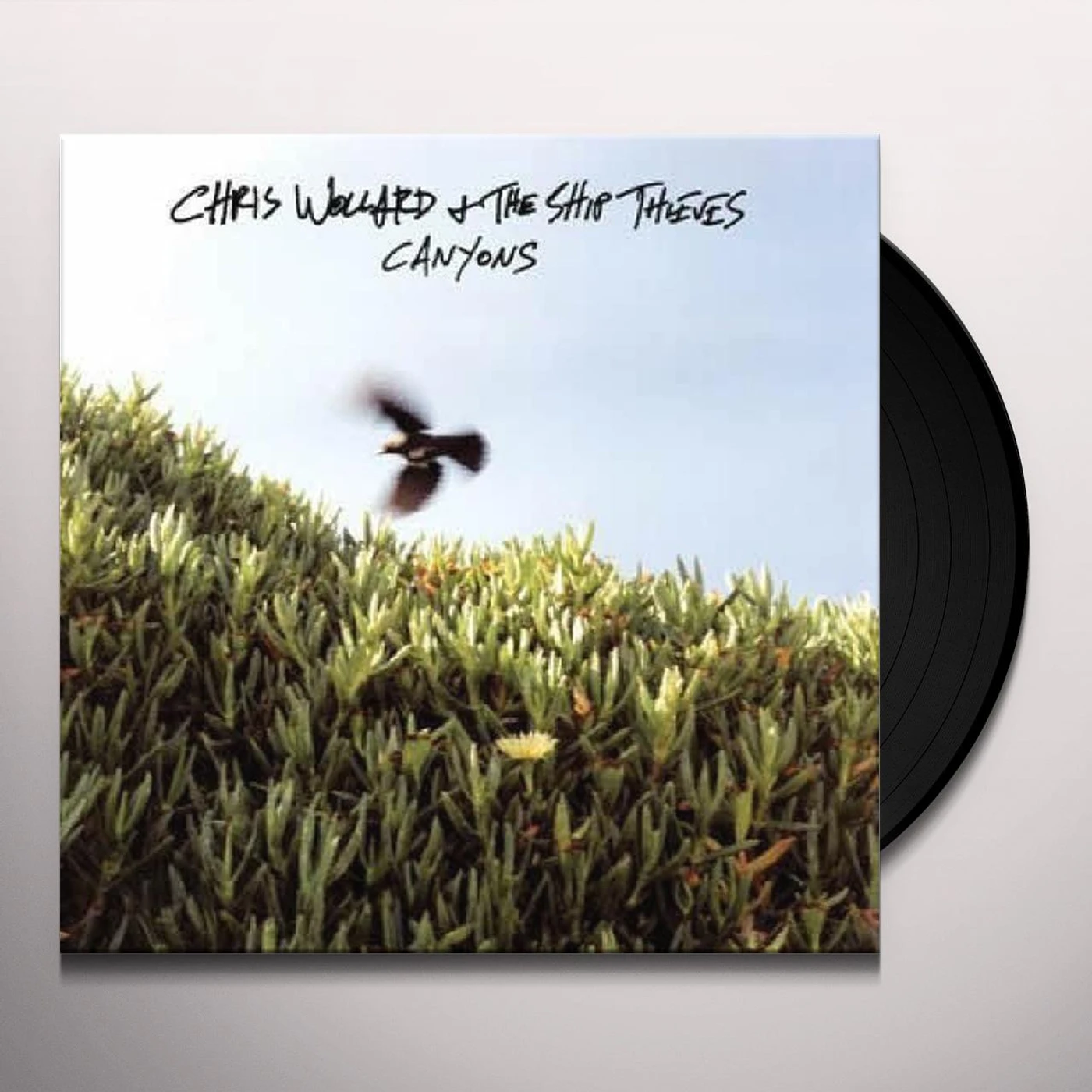 Chris Wollard & The Ship Thieves CANYONS (TRANSLUCENT BLUE VINYL/DL CARD) Vinyl Record
